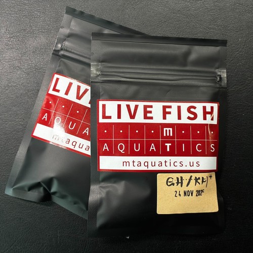 Aquatics premium shrimp - aquatics,