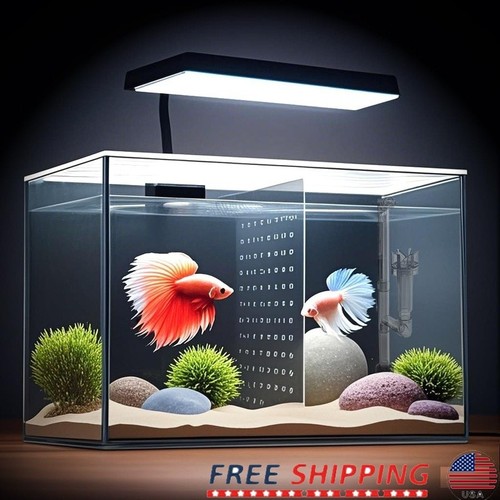 Gallon l fish nano - 3,